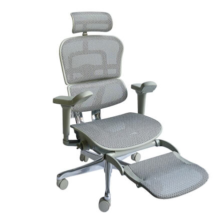 เก้าอี้เพื่อสุขภาพ DF PROCHAIR รุ่น Ergo Elite Ultra Plus สีเทา_2